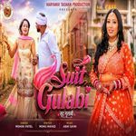 Suit Gulabi