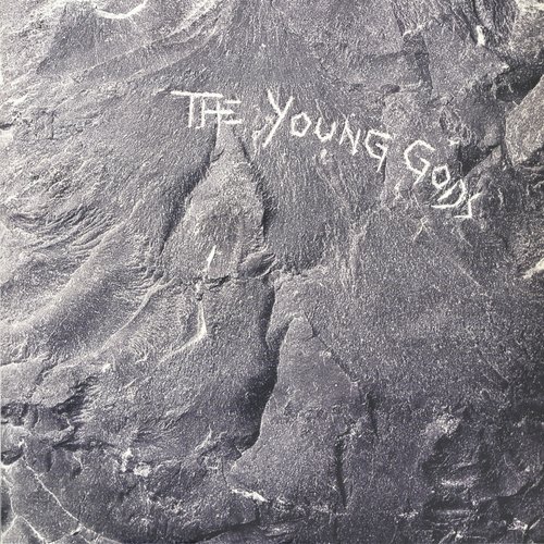 The irrtum boys cover art