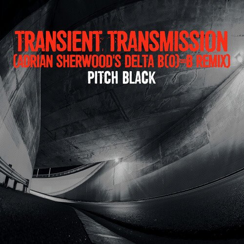 Transient Transmission (Adrian Sherwood&#039;s Delta B(0)=B Remix)_poster_image