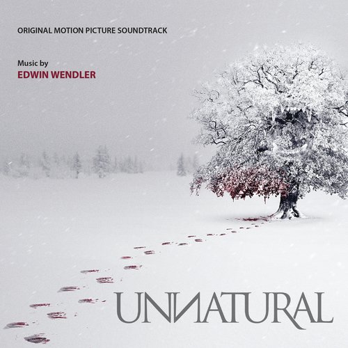 The Unexpected Guest cover art