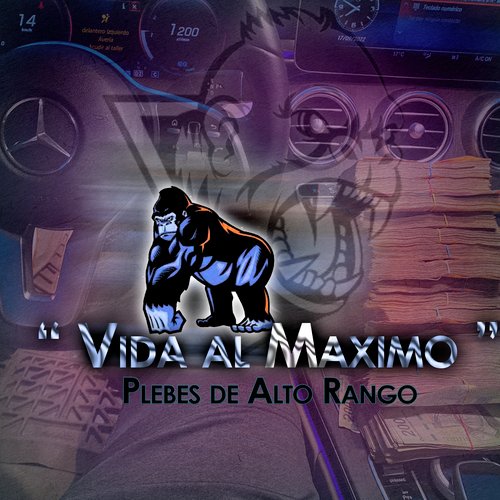 Vida al Máximo cover art