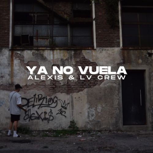 Ya no vuela_poster_image