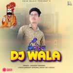 dj wala