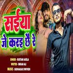 saiya je karai chhe re