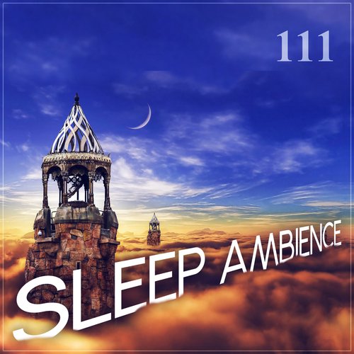 Trouble Sleeping cover art