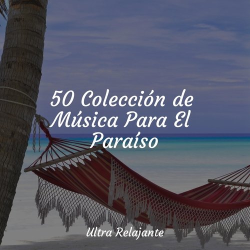 50 Colección de Música Para El Paraíso