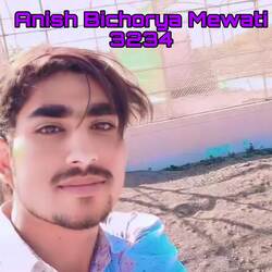 Anish Bichorya Mewati 3234-PV4KcBVfbks