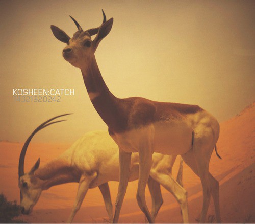 Catch (Decoder Vocal Remix)