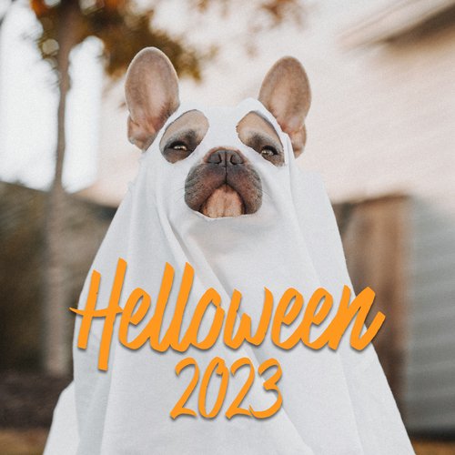 Tu Carita Lyrics Helloween 2023 Only on JioSaavn