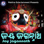 Jay Jagannath