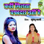 Kahin Milta Wafadaar Nahin Hai