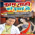 Kam Nahi Karela Dawaeya Re