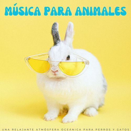 Perro Dormilón cover art
