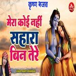 Mera Koi Nahi Sahara  Bin Tere