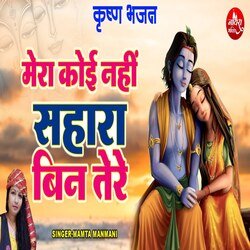 Mera Koi Nahi Sahara  Bin Tere