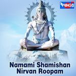 Namami Shamishan Nirvan Roopam