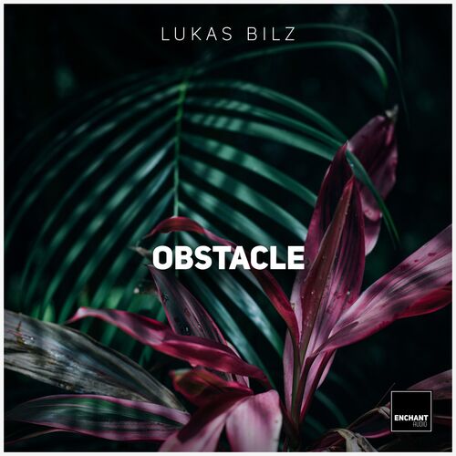 Obstacle (Tal Fussman Remix) cover art