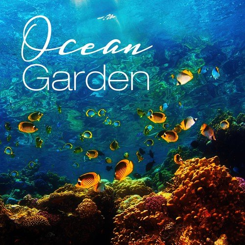 Ocean Garden – Biodiversity, Coral Reef, Waves Sound, Ocean Noise, Soft Waves, Nature, Water