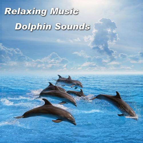 Relaxing Music Dolphin Sounds_poster_image