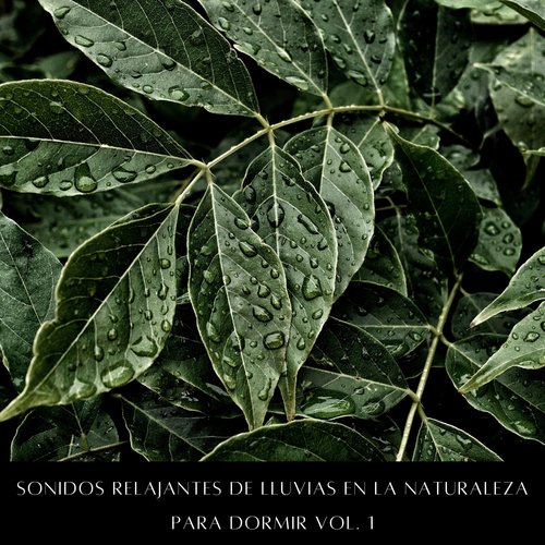 Música Para Dormir cover art