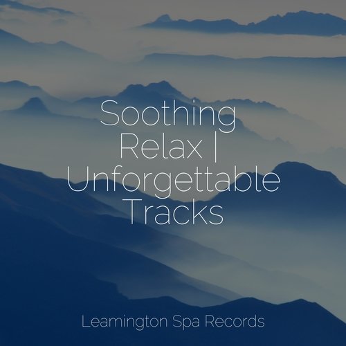 Meditating Music cover art