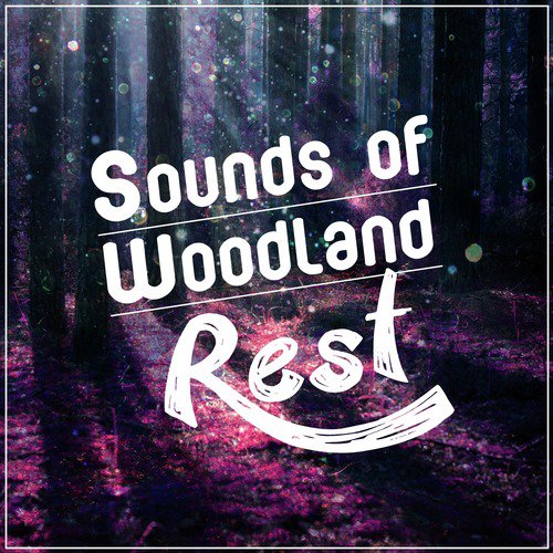Sounds of Woodland Rest