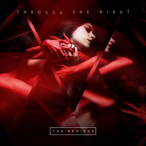 Through the Night (The Remixes)_poster_image