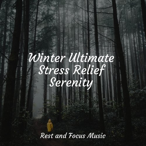 Relaxing Beats cover art