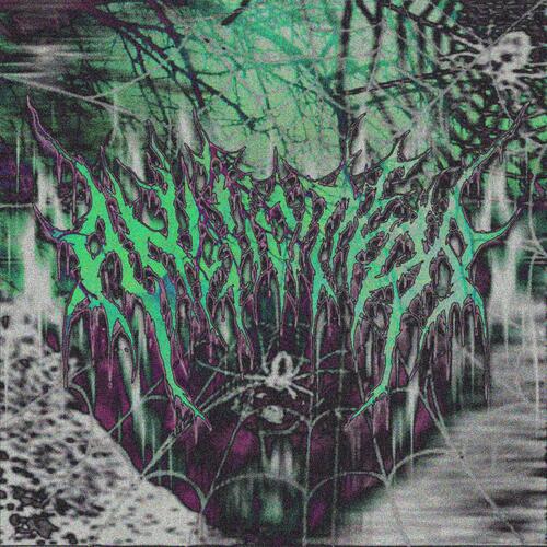 orbweaver // spiderbite