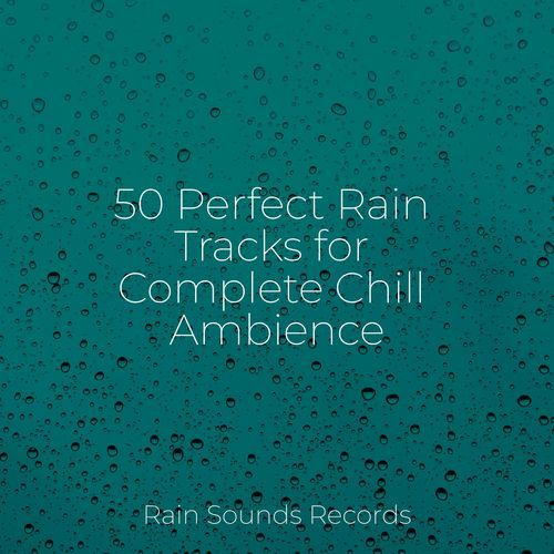 50 Perfect Rain Tracks for Complete Chill Ambience