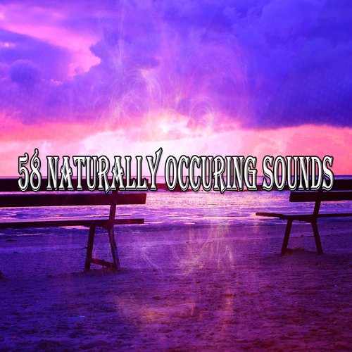 58 Naturally Occuring Sounds