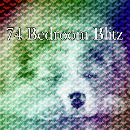 74 Bedroom Blitz