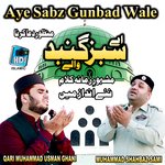 Aye Sabz Gunbad Wale Manzoor E Dua Karna 