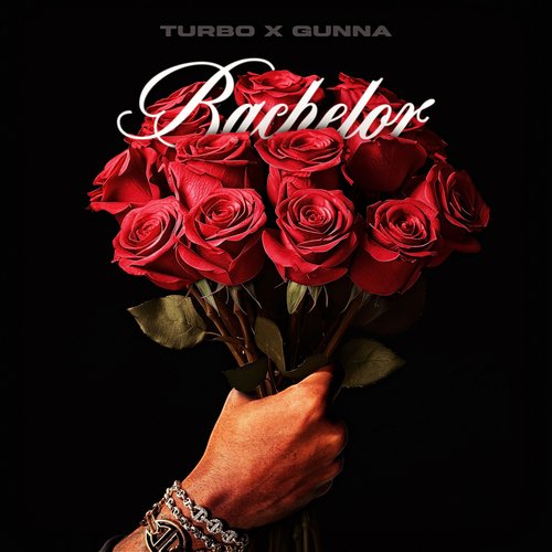 Bachelor_poster_image