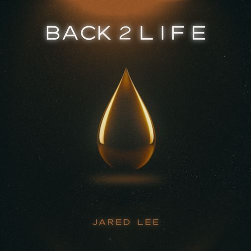 Back 2 Life (Stripped)