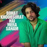 Bohat Khoobsurat Hai Mera Sanam