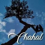 Chahat