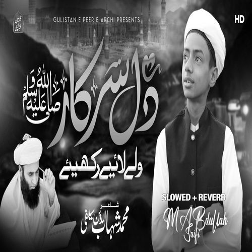 Dil Sarkar Wale (Lofi-Mix)