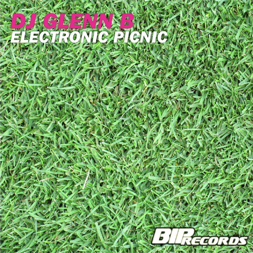 Electronic Picnic (Original Extended Mix)
