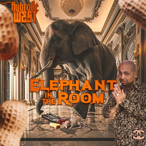 Elephant In The Room cover art