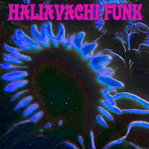 Haliavachi Funk (Speed Up) cover art