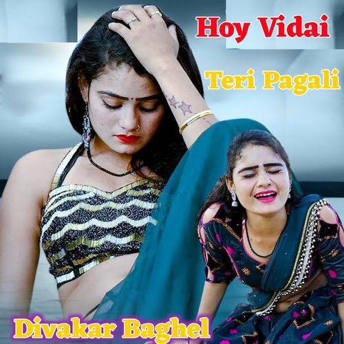 Hoy Vidai Teri Pagali