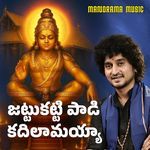 Jattukatti Paadi Kadilaamayyaa