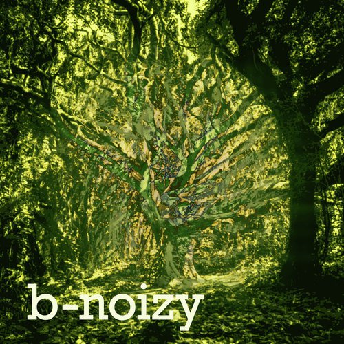 b-noizy