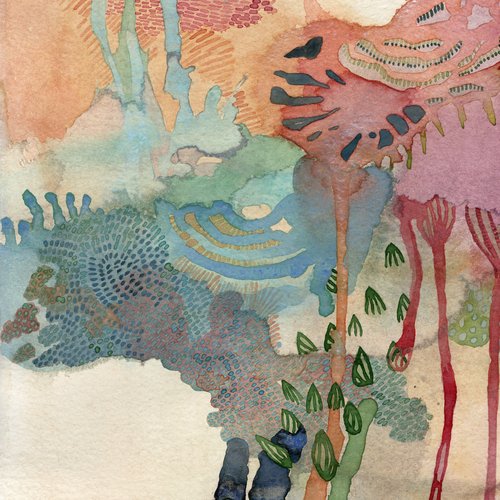 Boomers - Psilocybe Cubensis cover art