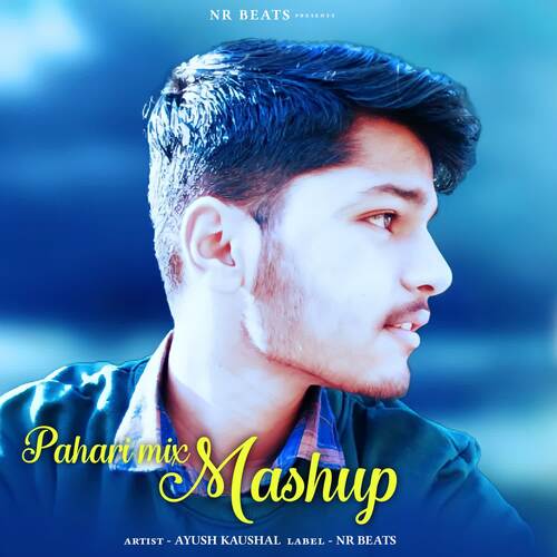 Pahari Mix Mashup