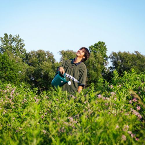 Plant the Seed cover art