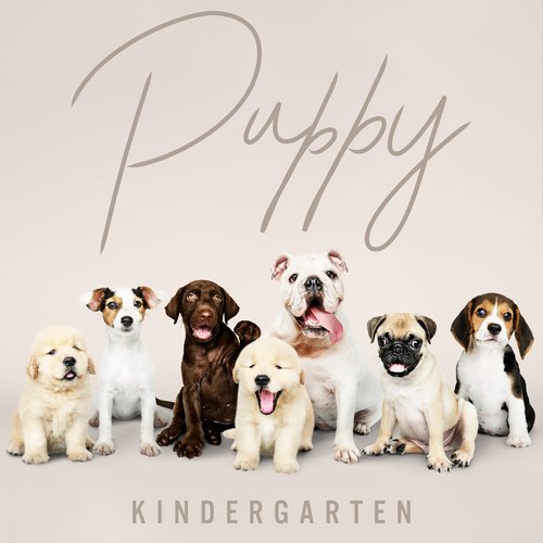 Puppy Kindergarten: Relaxation Music for Dog Nap Time (Best Sleep Music for Puppies)_poster_image