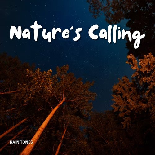 Rain Tones: Nature's Calling_poster_image