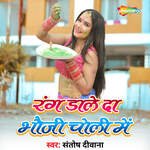 Rang Dale Da Bhauji Choli Mein